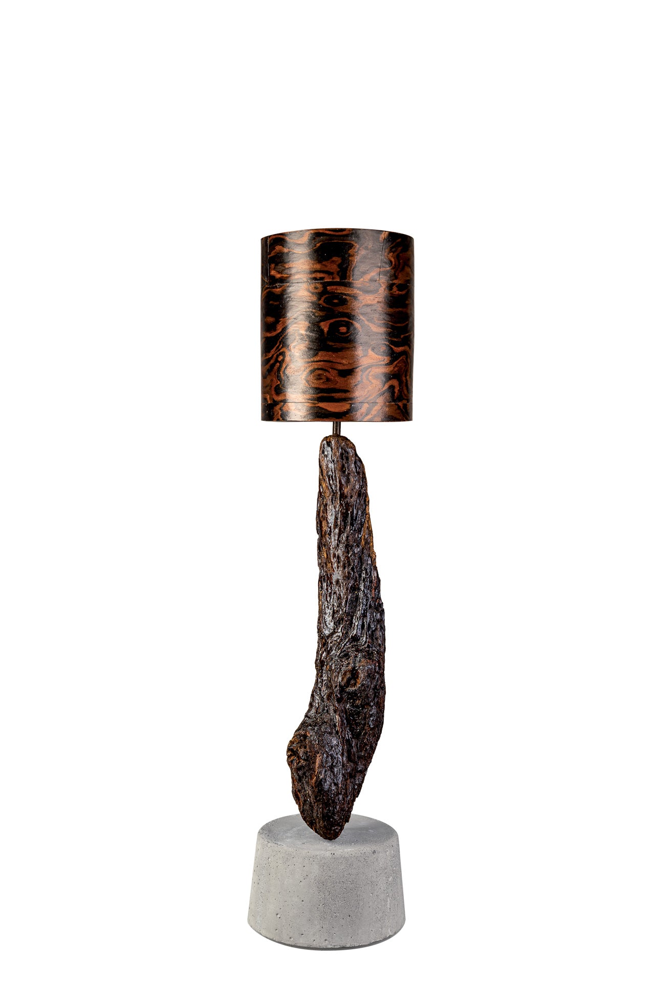 Treibholzlampe Lichtobjekt-01