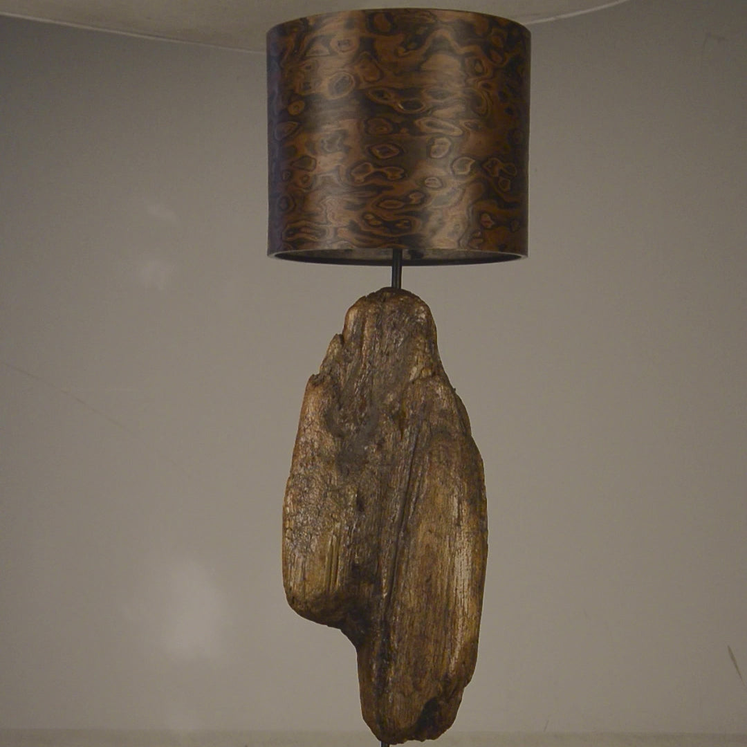 Driftwood Light Sculpture LO12  – Treibholz Lampe mit Echtholz Furnier & Beton-Sockel, zeigt Struktur & Oberfläche bei Tageslicht.