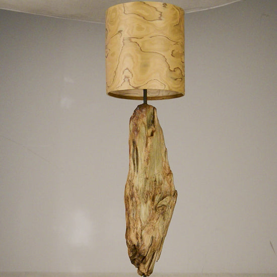 Driftwood Light Sculpture LO18 – Treibholz Lampe mit Echtholz Furnier & Beton-Sockel, zeigt Struktur & Oberfläche bei Tageslicht.