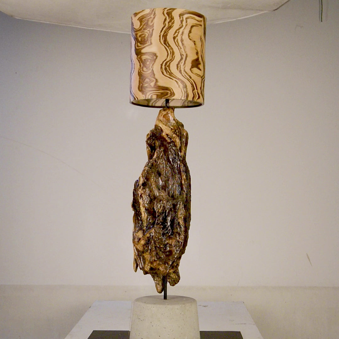 Driftwood Light Sculpture LO11 – Treibholz Lampe mit Echtholz Furnier & Beton-Sockel, zeigt Struktur & Oberfläche bei Tageslicht.