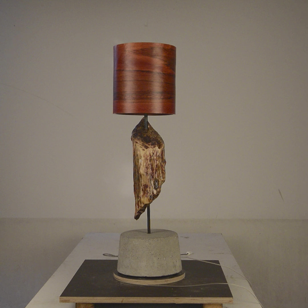 Driftwood Light Sculpture LO06 – Treibholz Lampe mit Echtholz Furnier & Beton-Sockel, zeigt Struktur & Oberfläche bei Tageslicht.