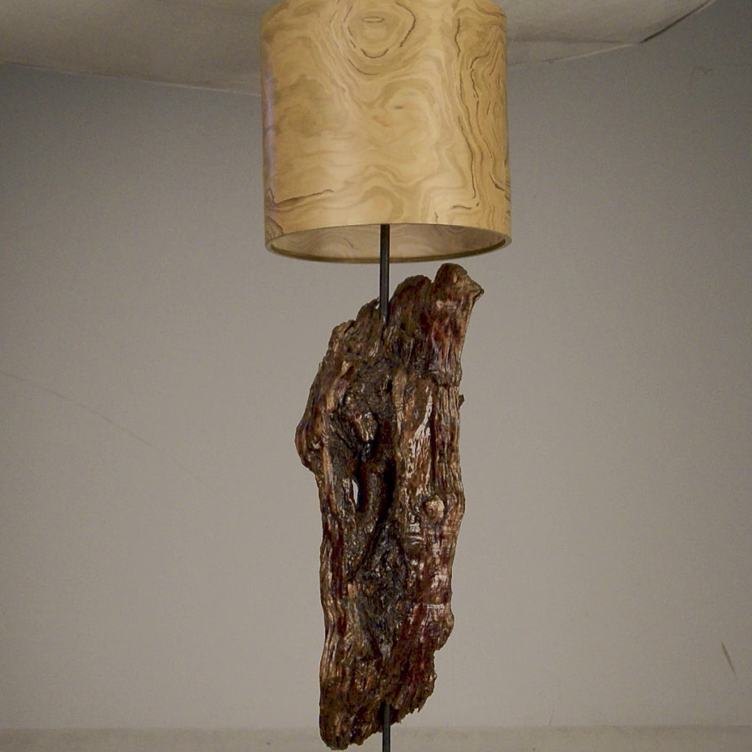 Driftwood Light Sculpture LO16 – Treibholz Lampe mit Echtholz Furnier & Beton-Sockel, zeigt Struktur & Oberfläche bei Tageslicht.