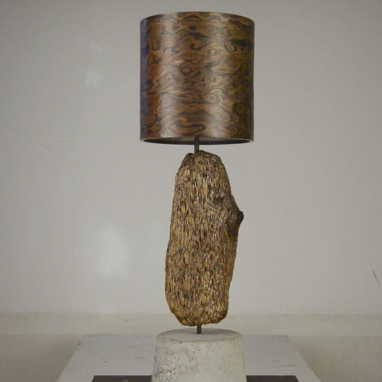 Driftwood Light Sculpture LO02 – Treibholz Lampe mit Echtholz Furnier & Beton-Sockel, zeigt Struktur & Oberfläche bei Tageslicht.