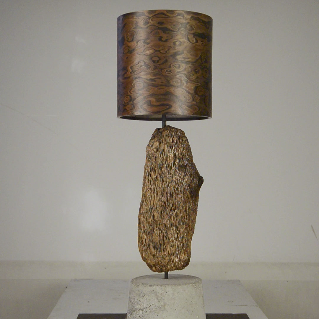 Driftwood Light Sculpture LO02 – Treibholz Lampe mit Echtholz Furnier & Beton-Sockel, zeigt Struktur & Oberfläche bei Tageslicht.